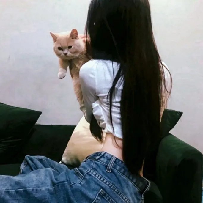 电脑杀手
