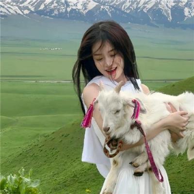 儿女英雄传