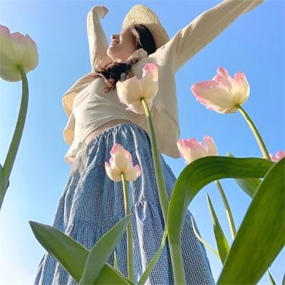 黑色蜂群